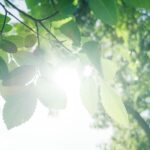 Få tilskud til ESG-arbejdet – puljen er åben og vi hjælper jer med ansøgningen